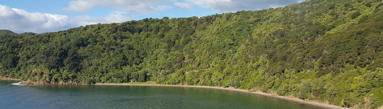 Meer, Hügel und Wald bei Picton