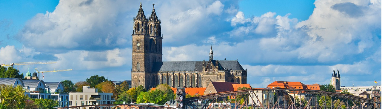 Magdeburger Dom und Elbe im Vordergrund